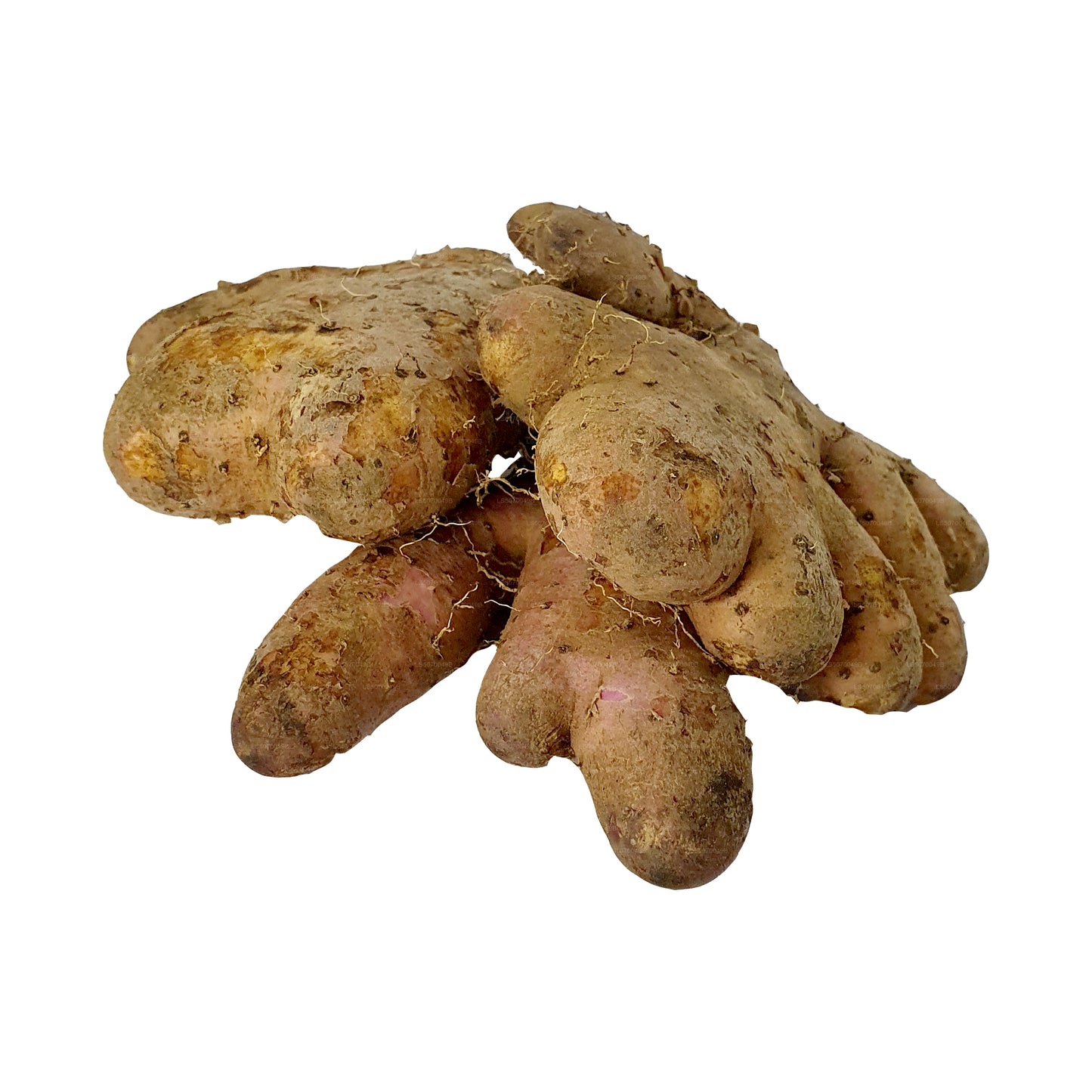 Jamón Lakpura Hingurala