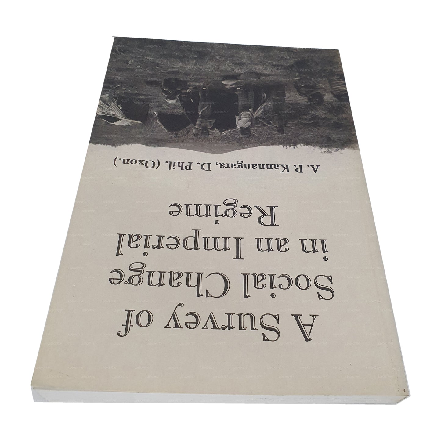 Un estudio del cambio social en un régimen imperial