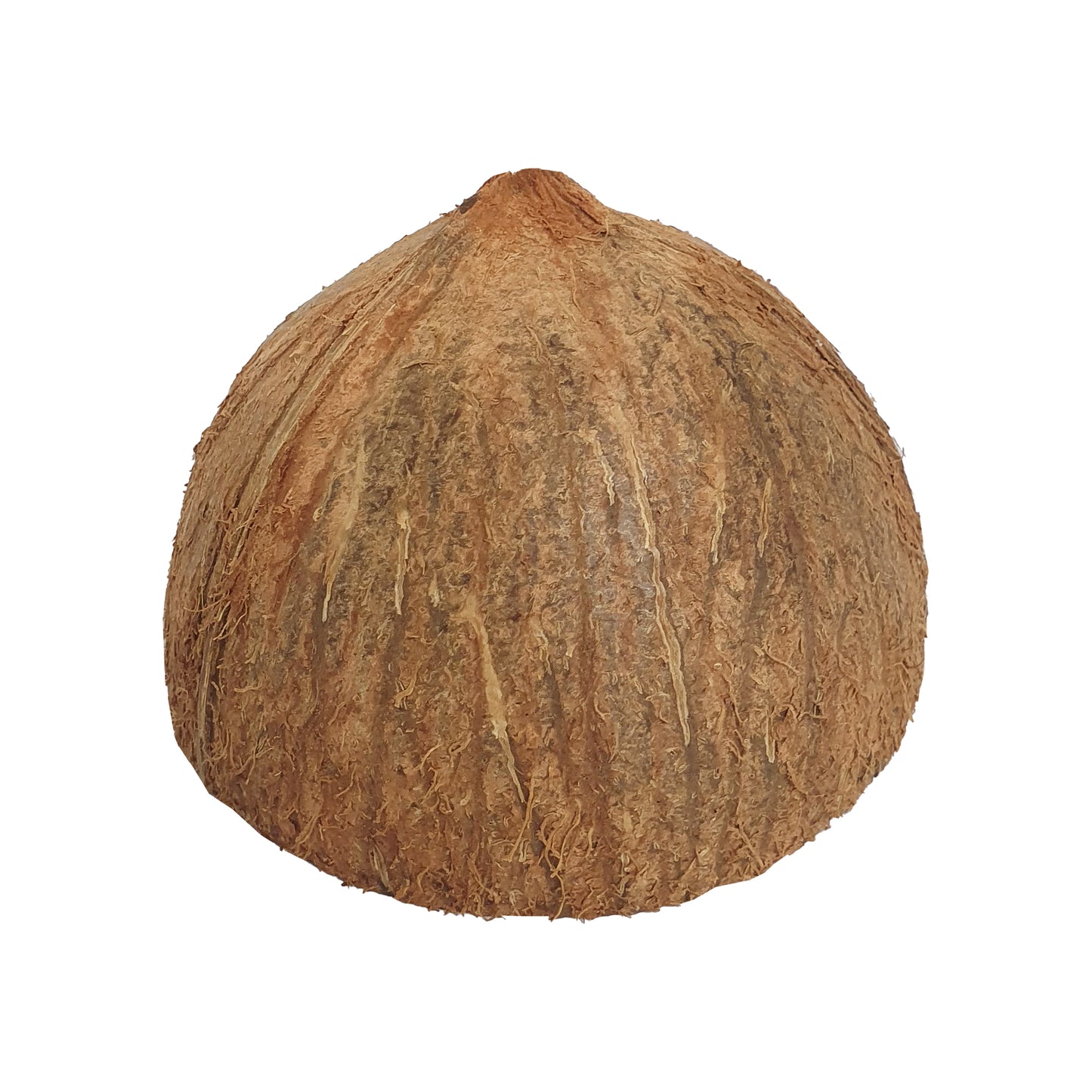 Lakpura® Kokosnussschalenhälften