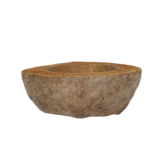 Diseño de maceta de coco natural Bivenro (tamaño único)