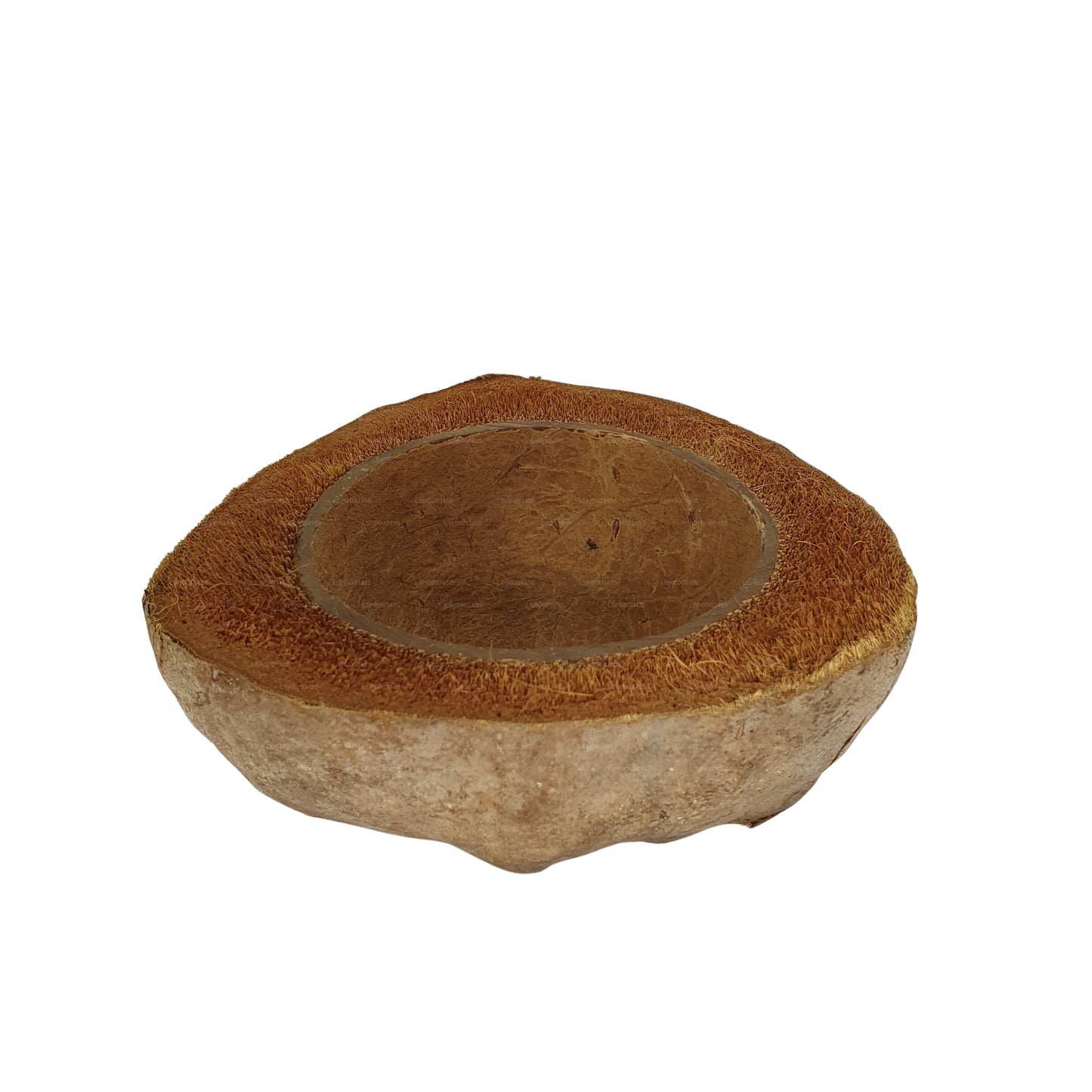 Diseño de maceta de coco natural Bivenro (tamaño único)