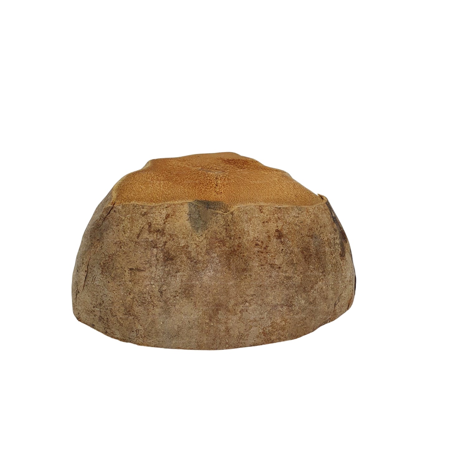 Diseño de maceta de coco natural Bivenro (tamaño único)