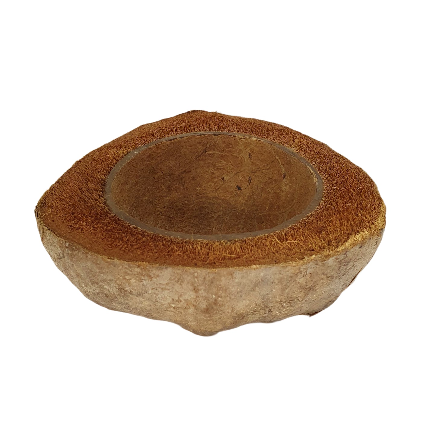 Diseño de maceta de coco natural Bivenro (tamaño único)