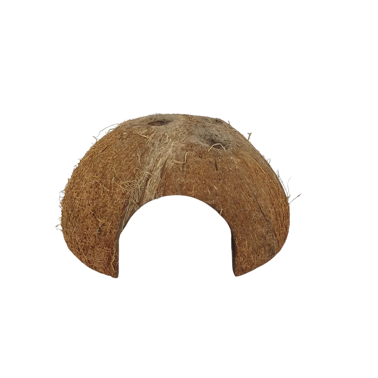 Cueva Bivenro Natural con 1/2 cáscara de coco (tamaño único)