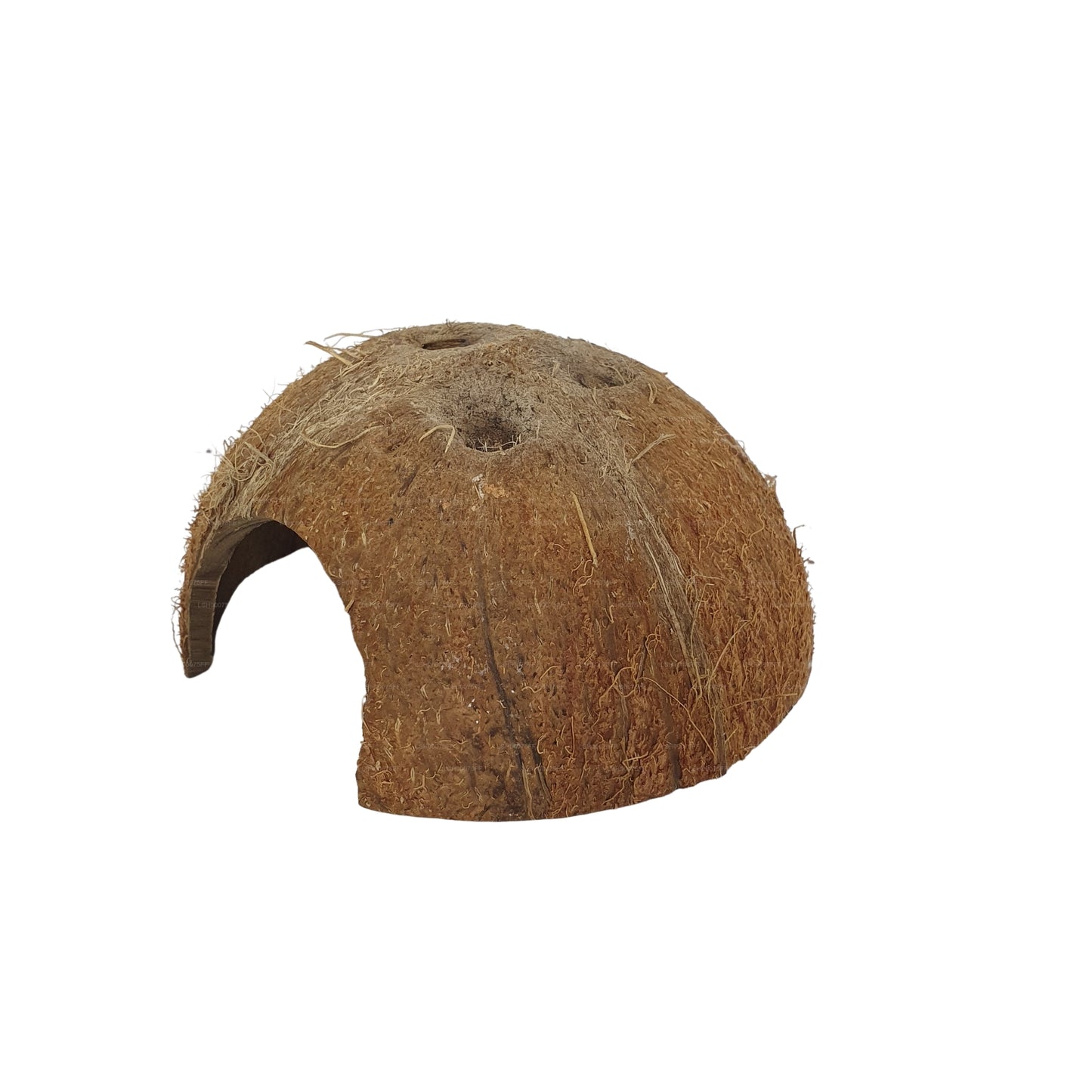 Cueva Bivenro Natural con 1/2 cáscara de coco (tamaño único)