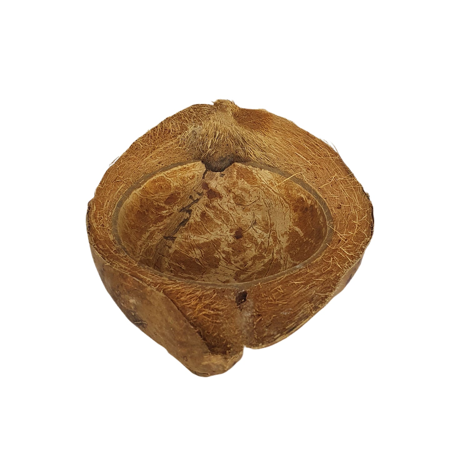 Bivenro Natural Coconut Pet Bowl Design (Free Size)