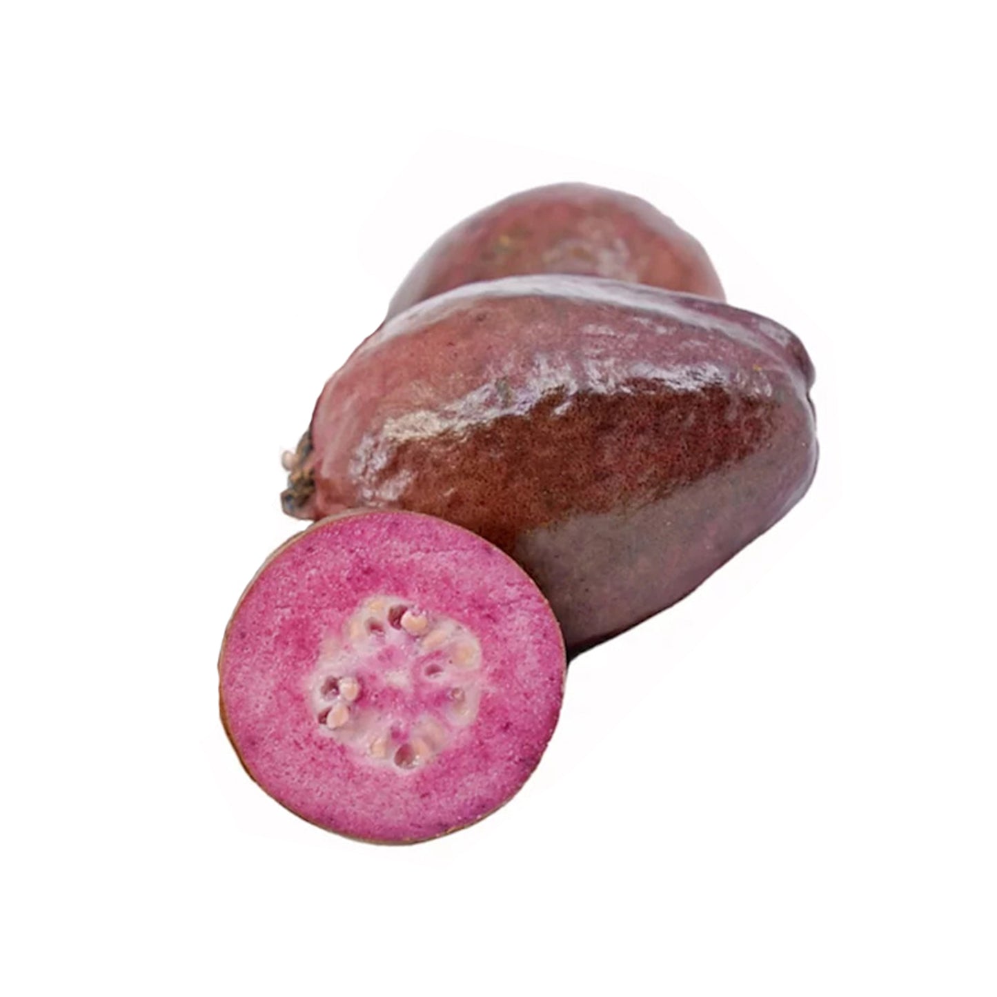 Planta frutal de guayaba morada Lakpura