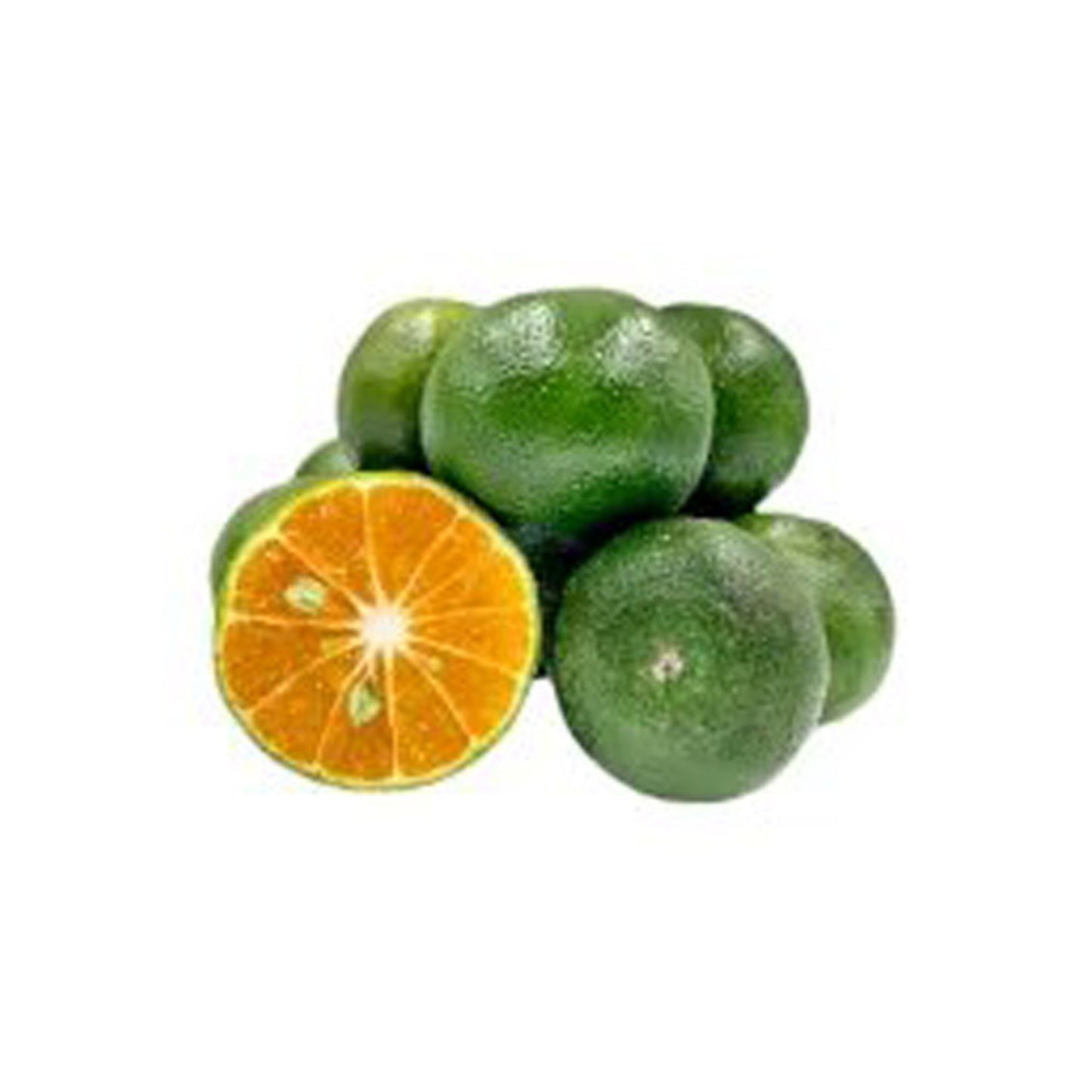 Planta injertada Lakpura Nas Narang