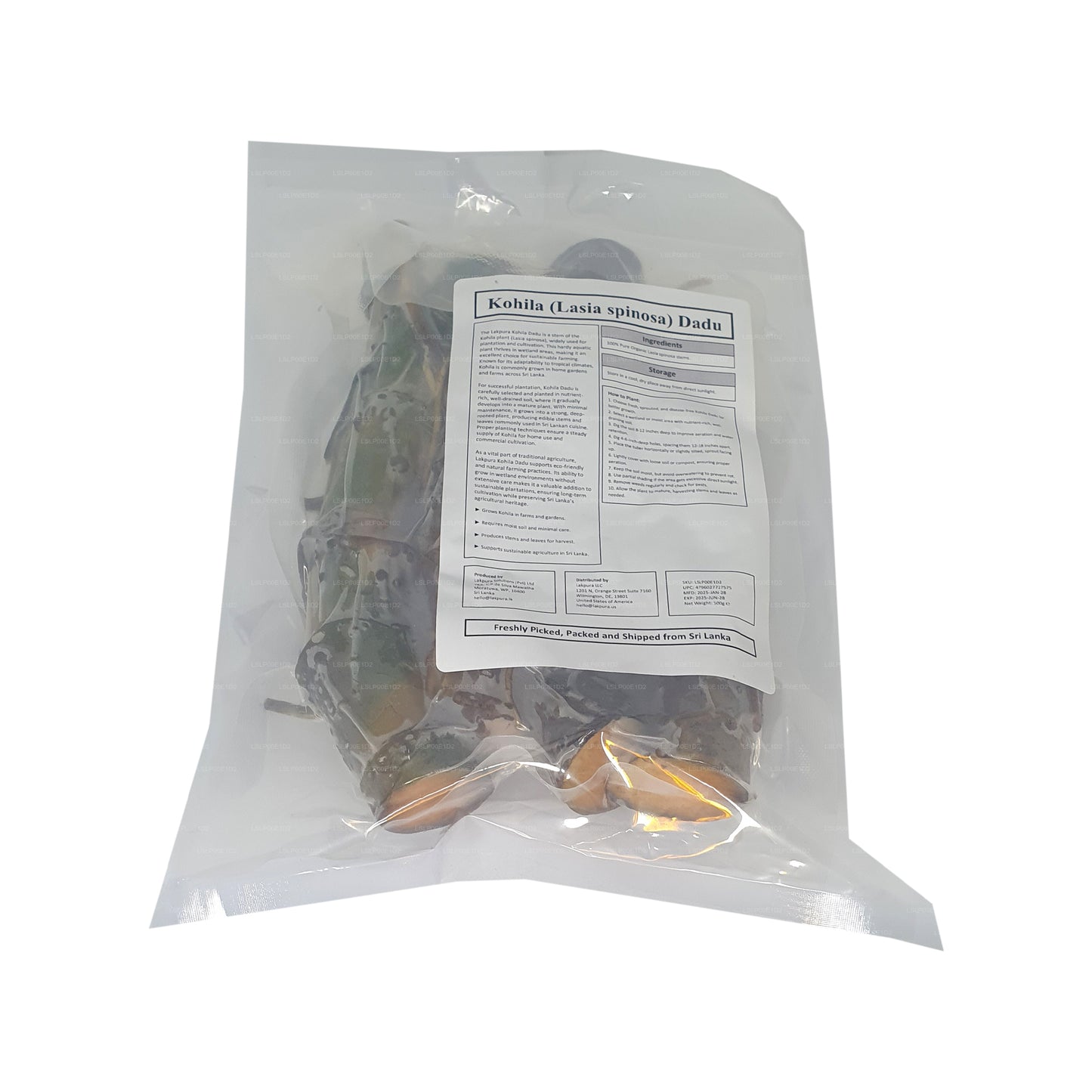 Lakpura® Kohila Dadu