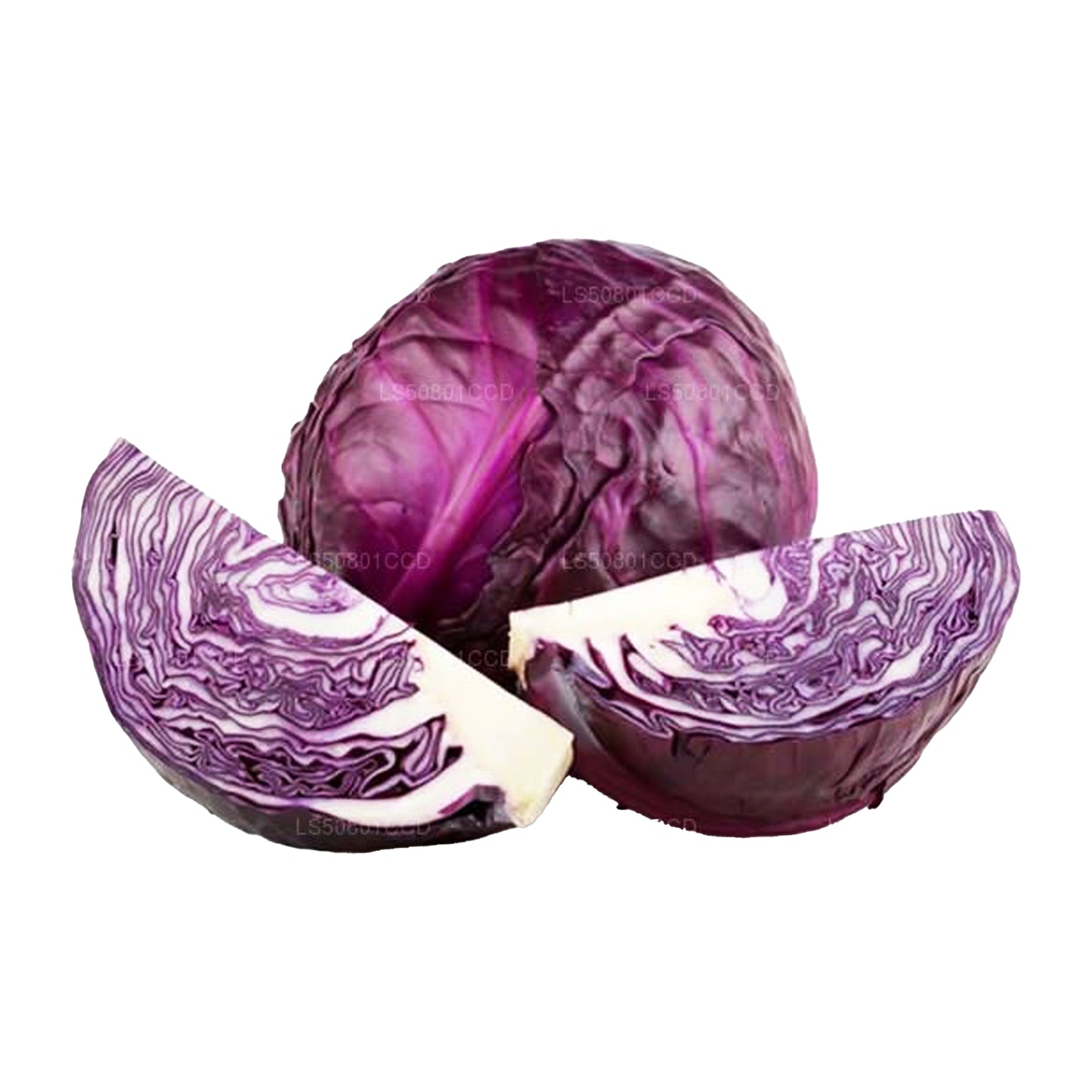 Repollo morado