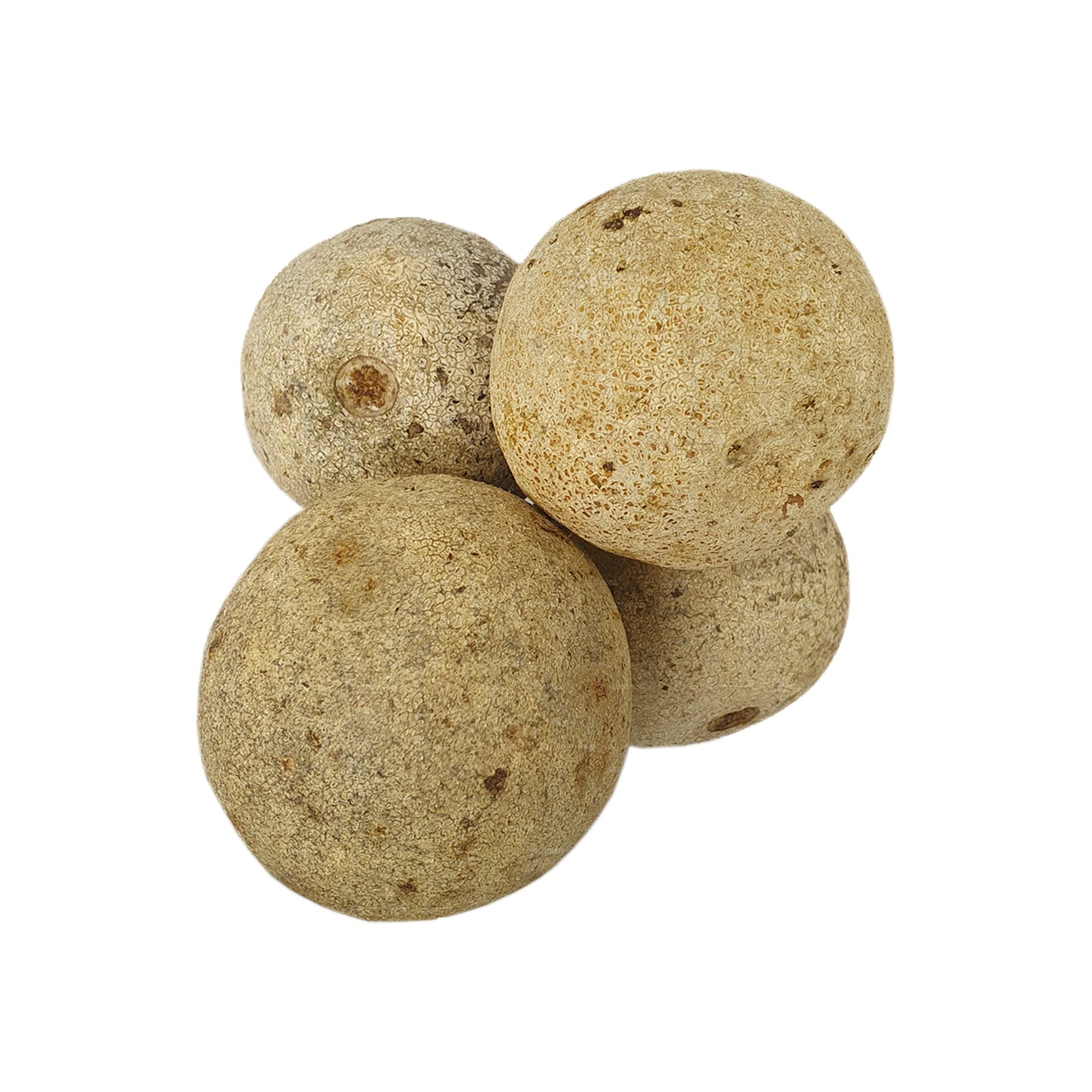 Manzana de madera de Lakpura