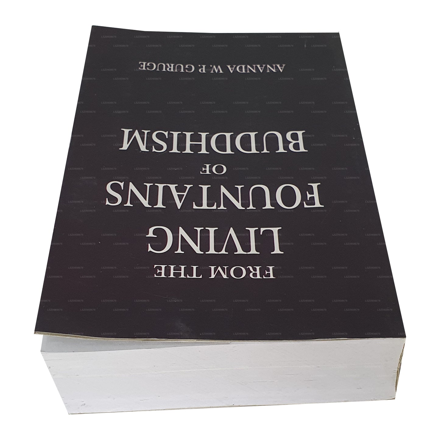 De Las fuentes vivas del budismo