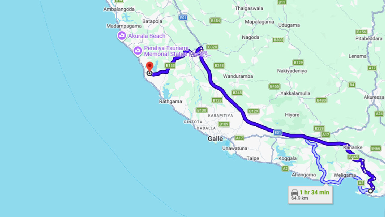 Liberación de tortugas bebés en Mirissa