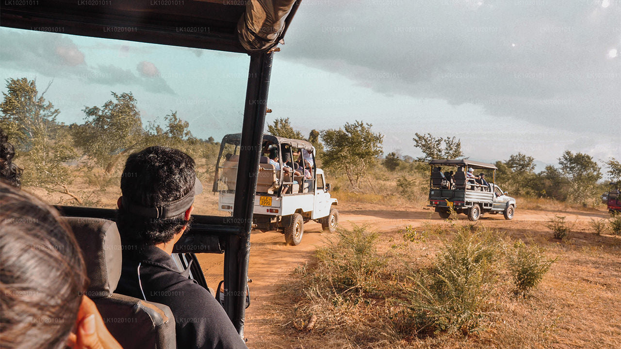 Udawalawe y Galle desde Colombo (2 días)