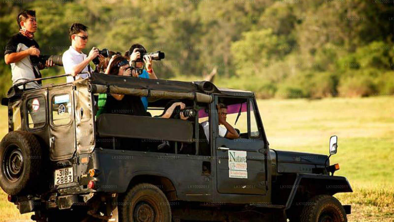 Sigirya y Minneriya desde Colombo (2 días)