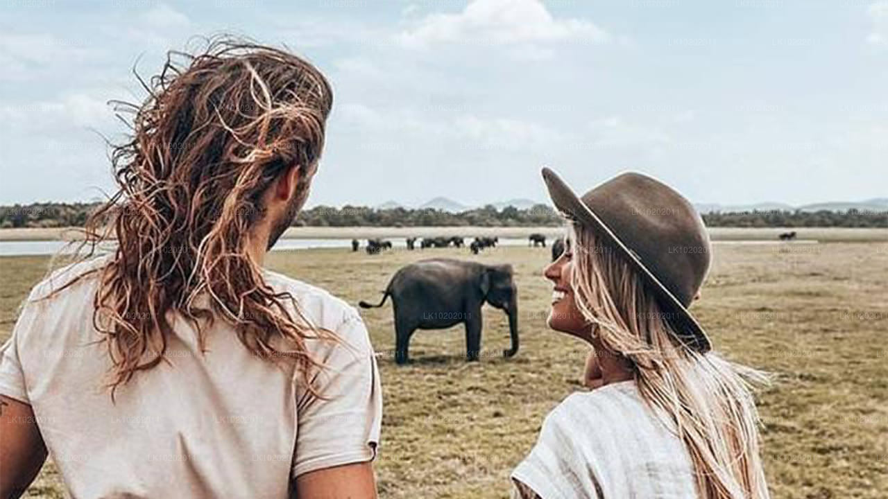 Sigirya y Minneriya desde Colombo (2 días)