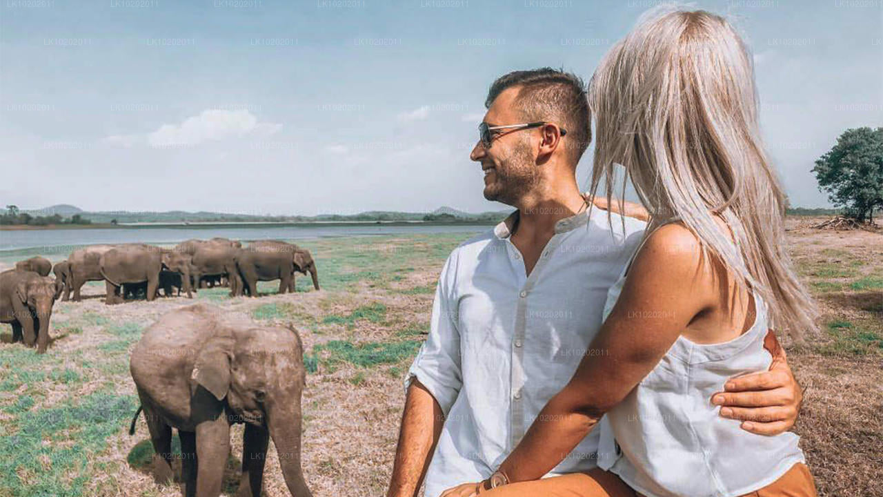 Sigirya y Minneriya desde Colombo (2 días)