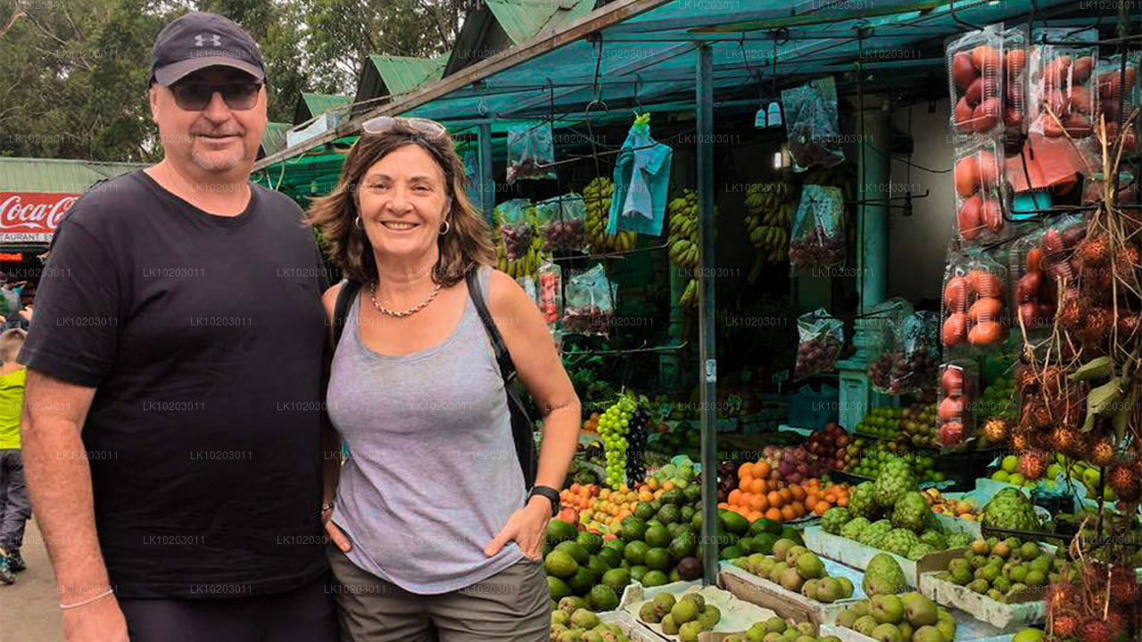 Nuwara Eliya desde Colombo (2 días)