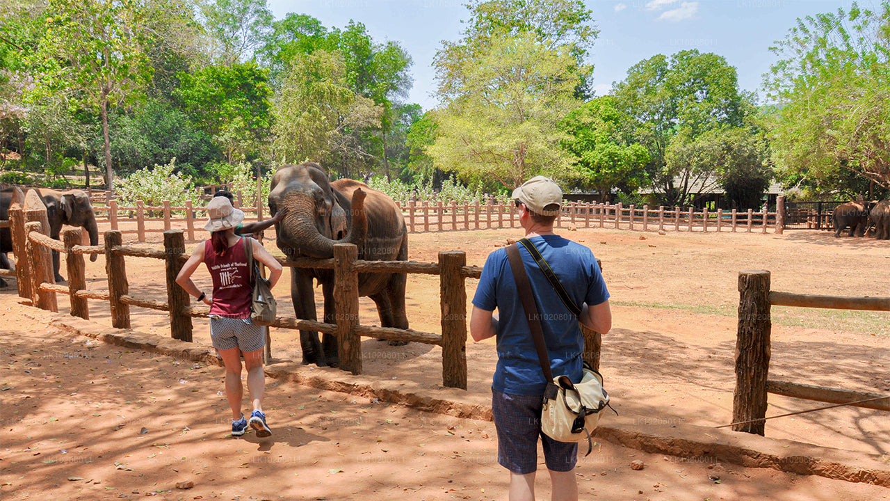 Cultura de las colinas desde Colombo (2 días)