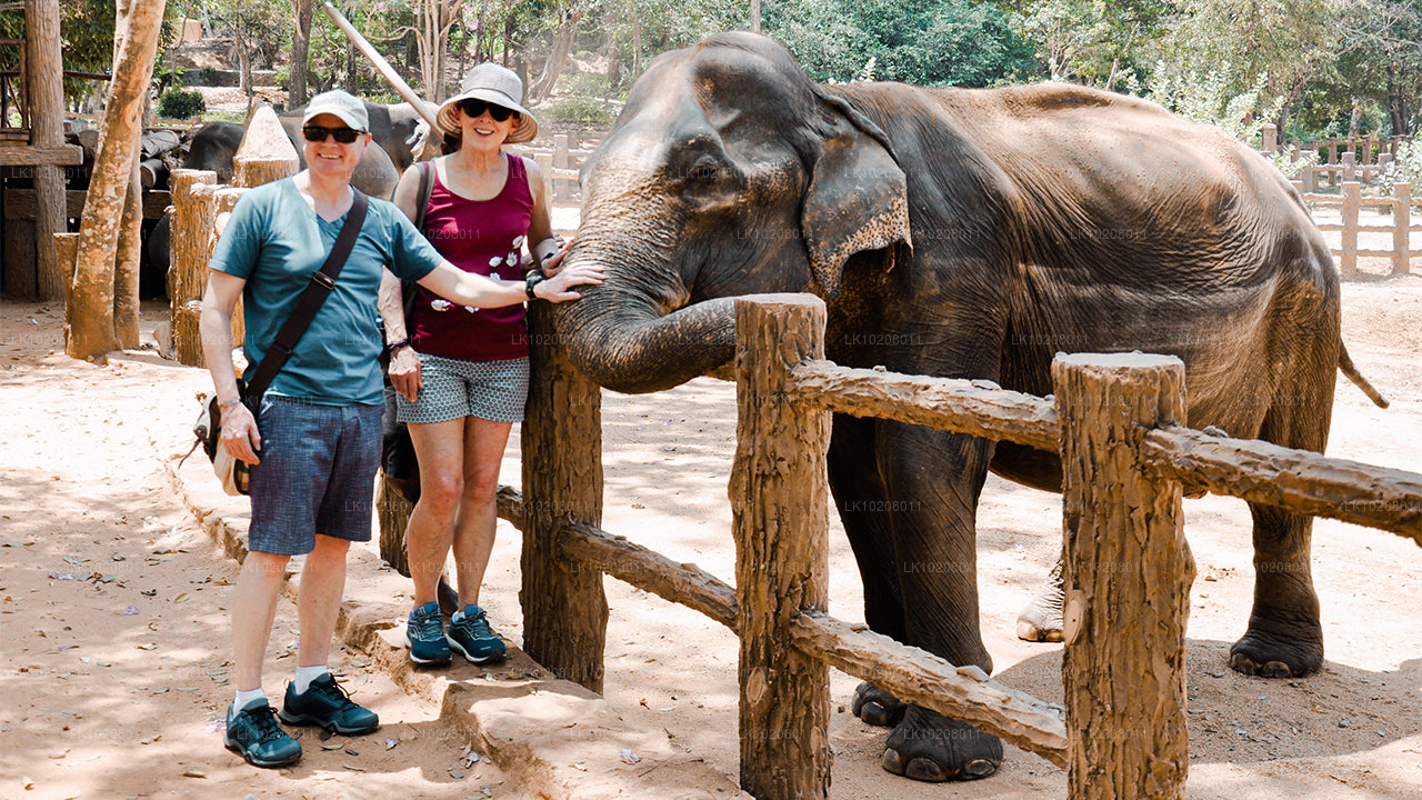 Cultura de las colinas desde Colombo (2 días)