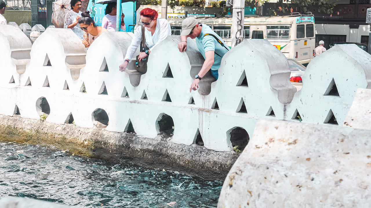 Cultura de las colinas desde Colombo (2 días)