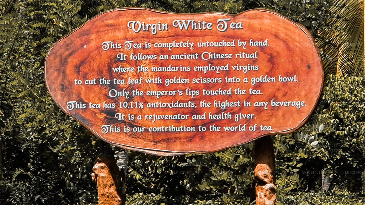 Ahangama y Mirissa desde Bentota (2 días)