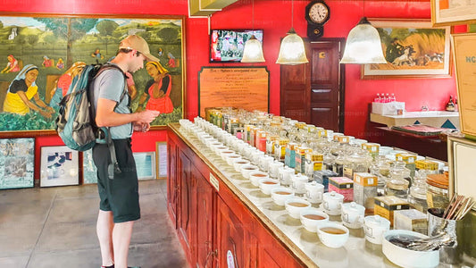 Ahangama y Mirissa desde Bentota (2 días)