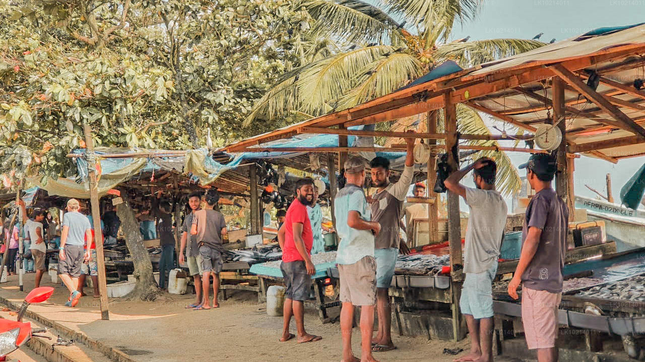 Ahangama y Mirissa desde Bentota (2 días)