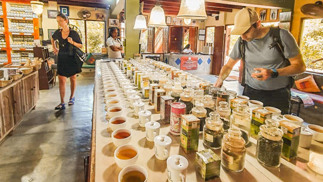 Ahangama y Mirissa desde Bentota (2 días)