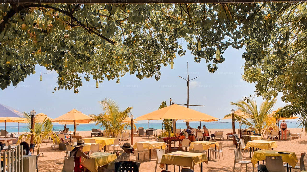 Ahangama y Mirissa desde Bentota (2 días)