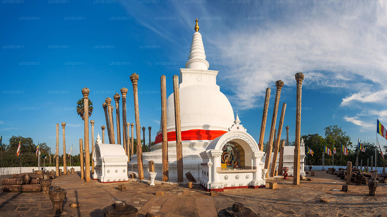 Excursión a las maravillas salvajes y los espacios sagrados desde Galle (2 días)