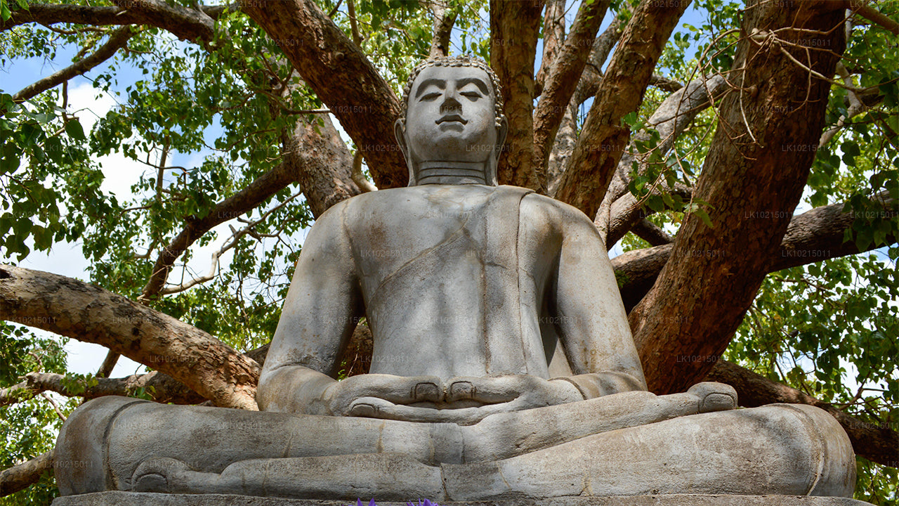 Excursión a las maravillas salvajes y los espacios sagrados desde Galle (2 días)