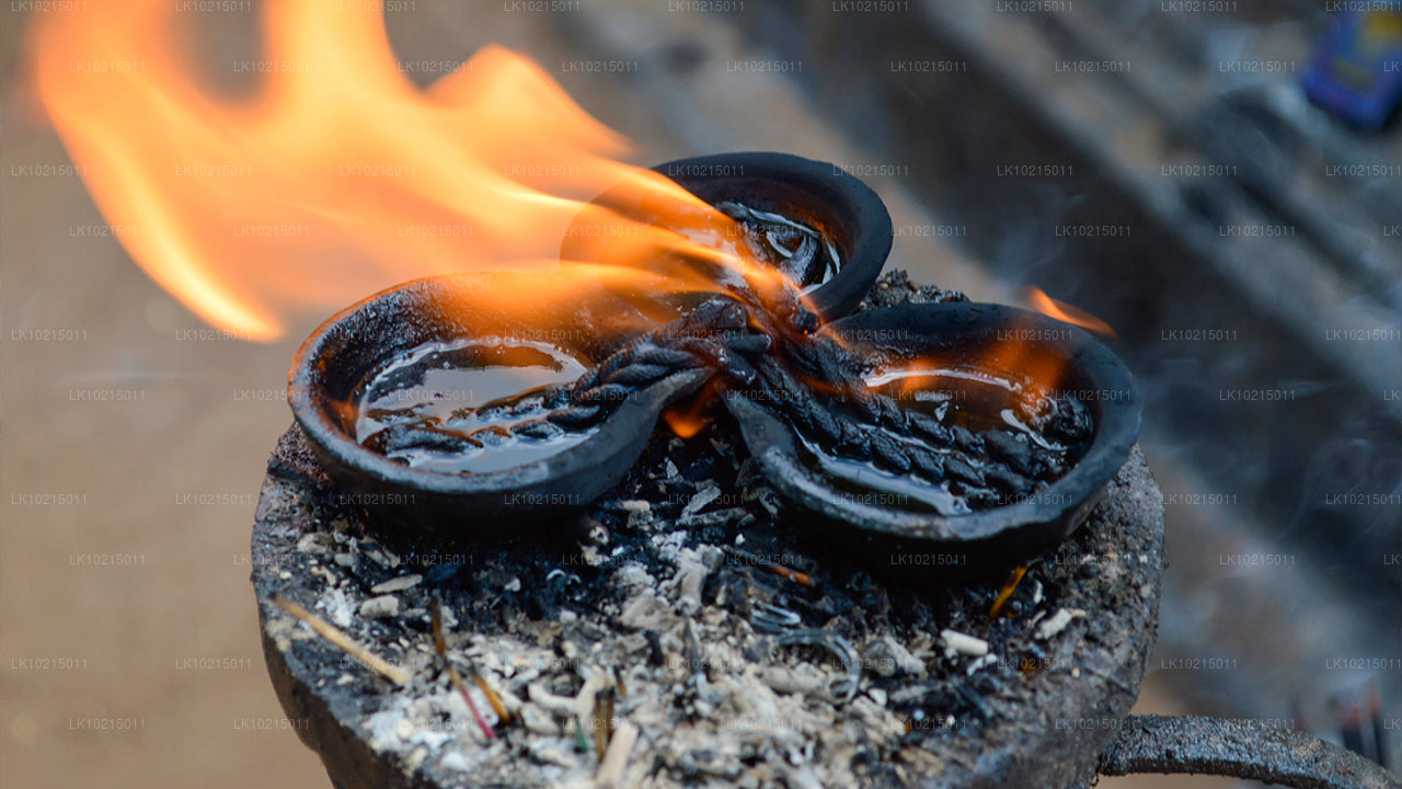 Excursión a las maravillas salvajes y los espacios sagrados desde Galle (2 días)
