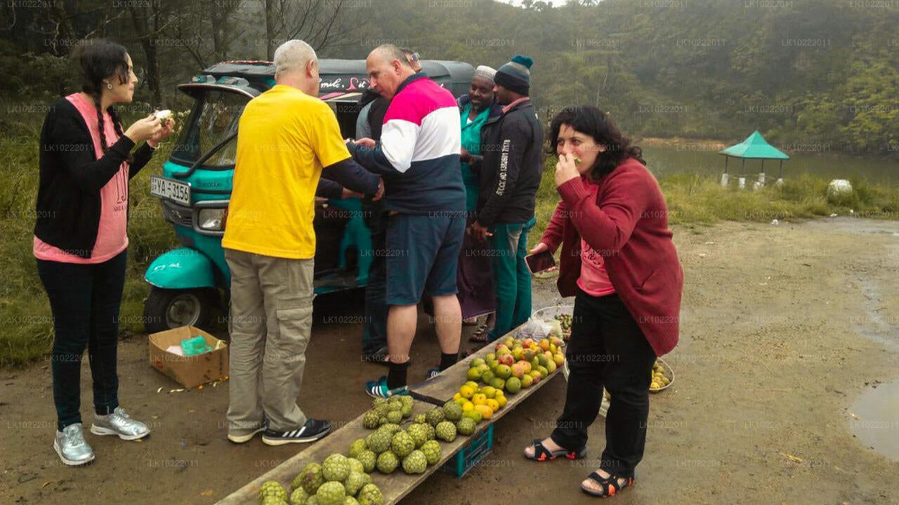 Highland Glory desde Kandy (2 días)