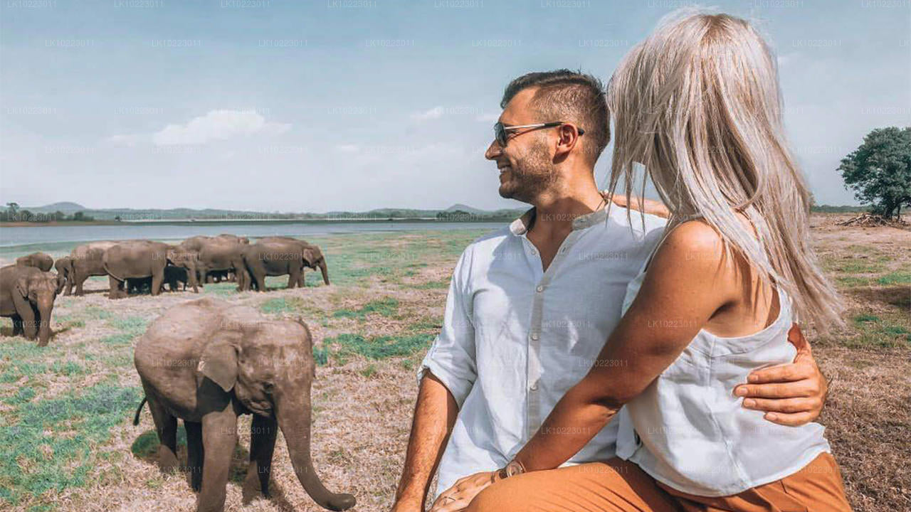 Sigirya y Minneriya desde Negombo (2 días)