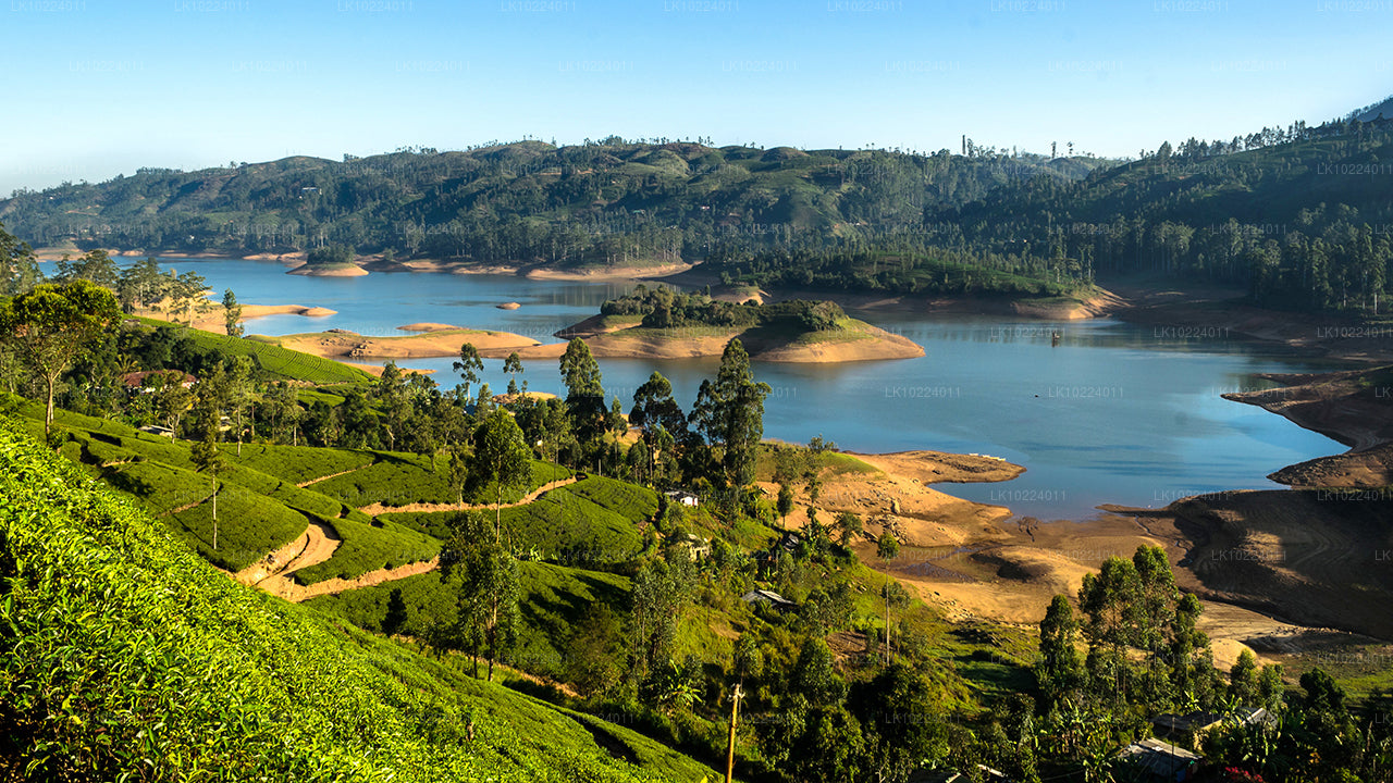 Nuwara Eliya desde Negombo (2 días)