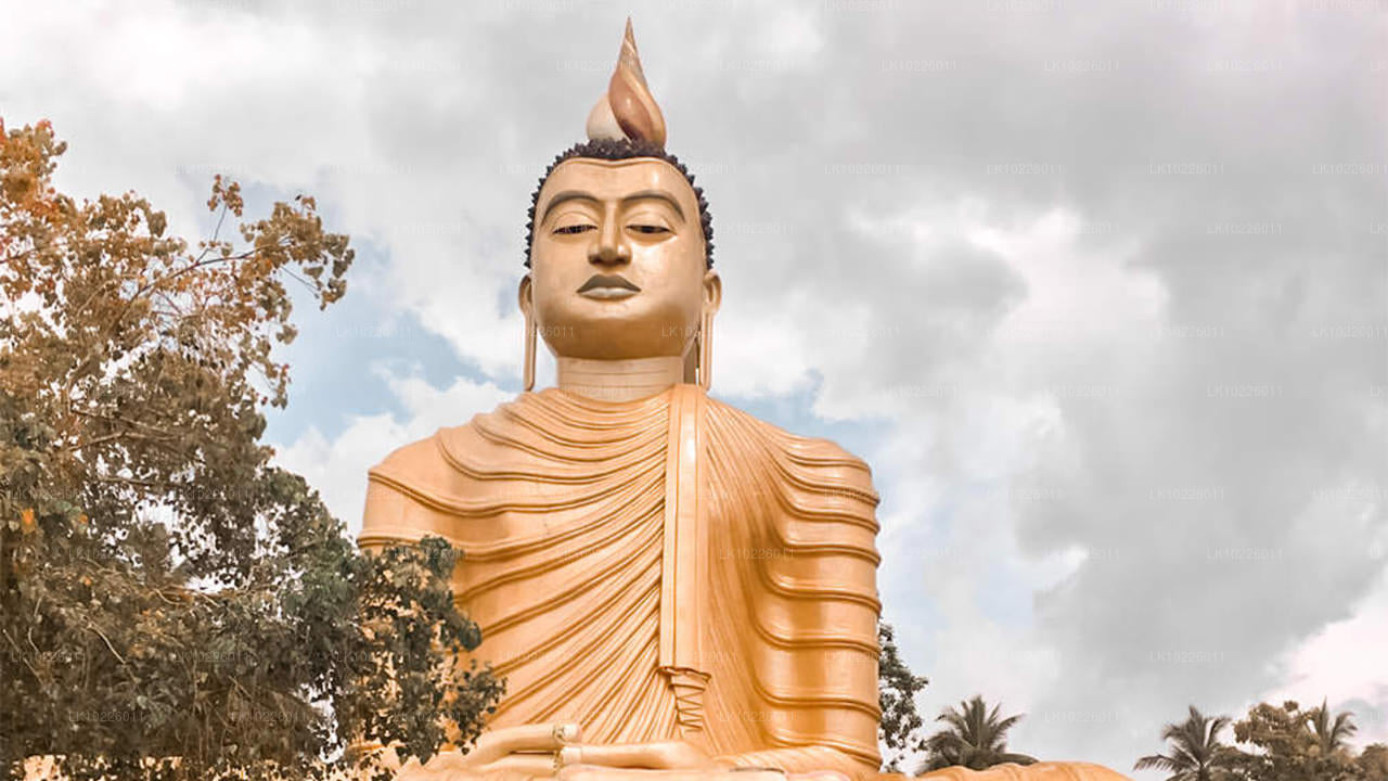 Templos y naturaleza desde Negombo (2 días)