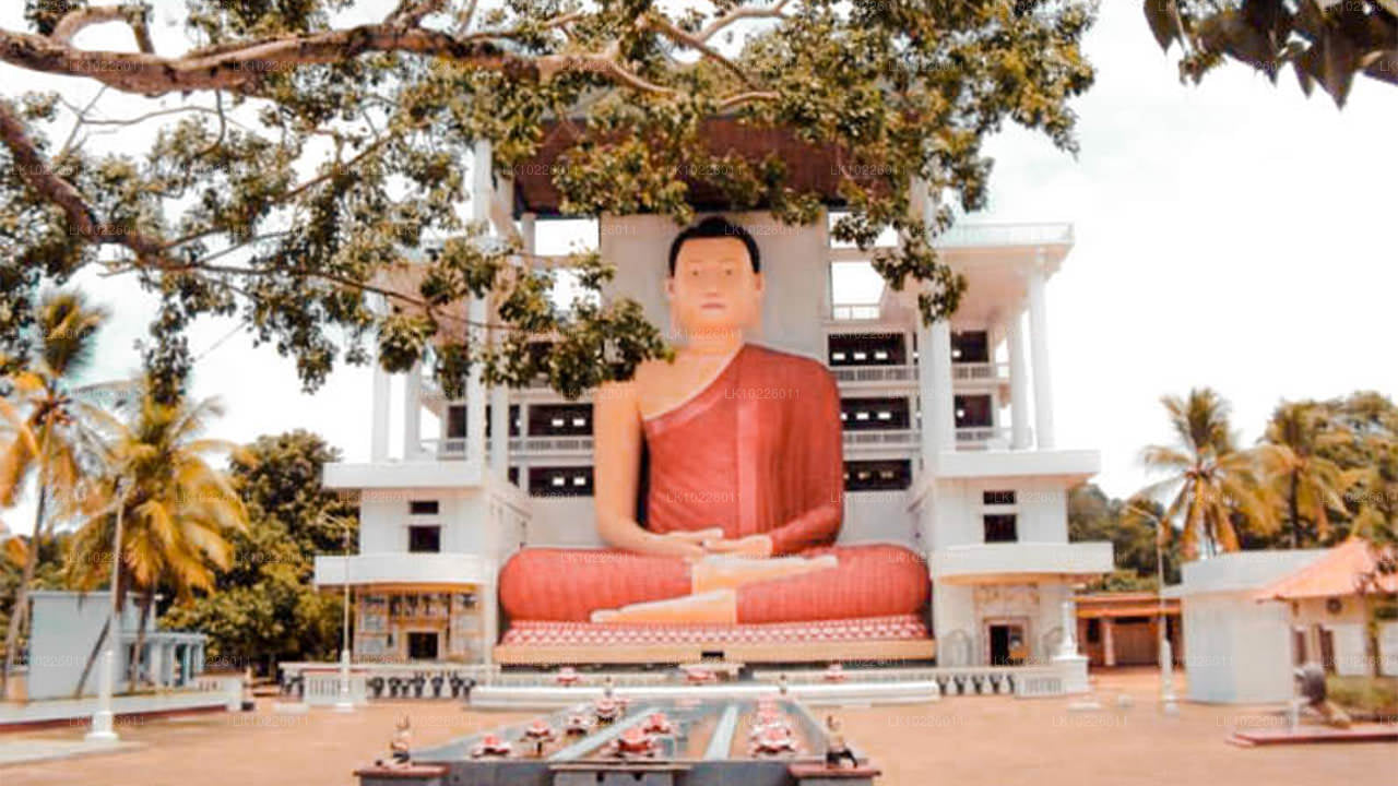 Templos y naturaleza desde Negombo (2 días)