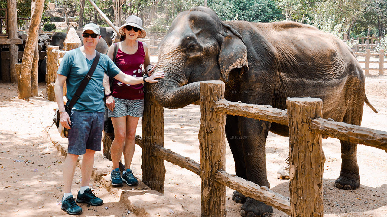 La cultura de las colinas desde Negombo (2 días)