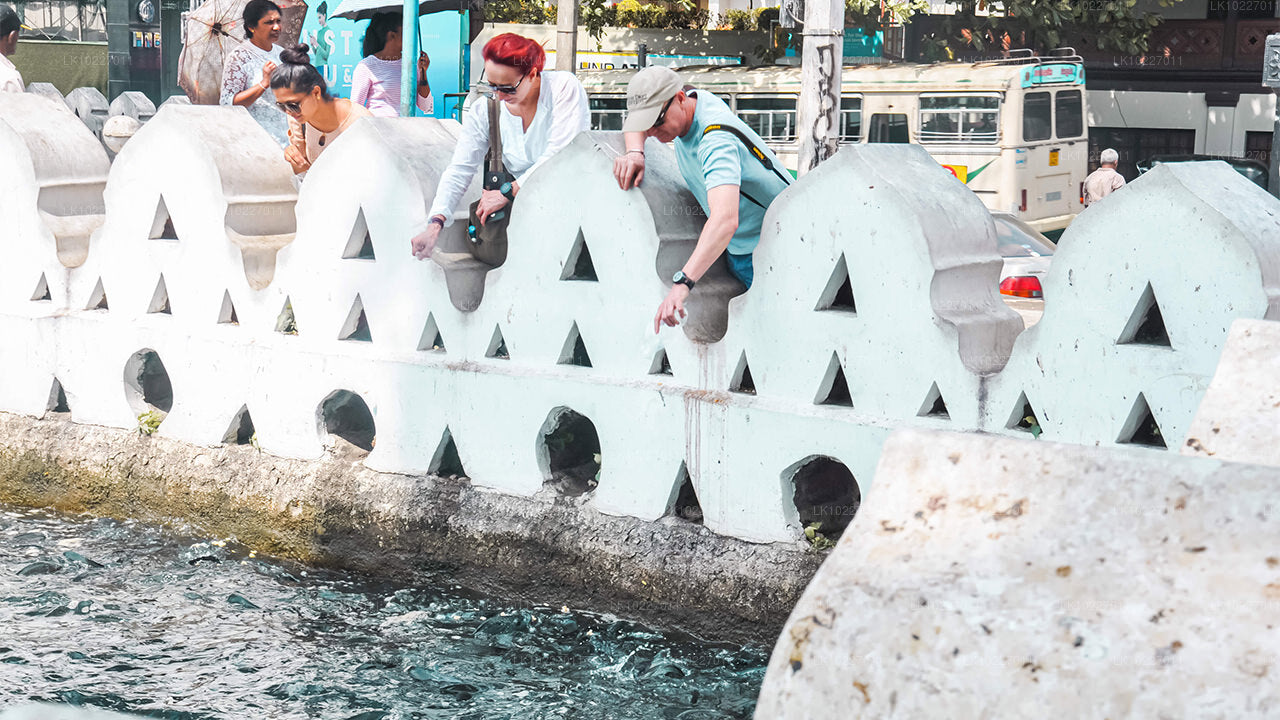 La cultura de las colinas desde Negombo (2 días)