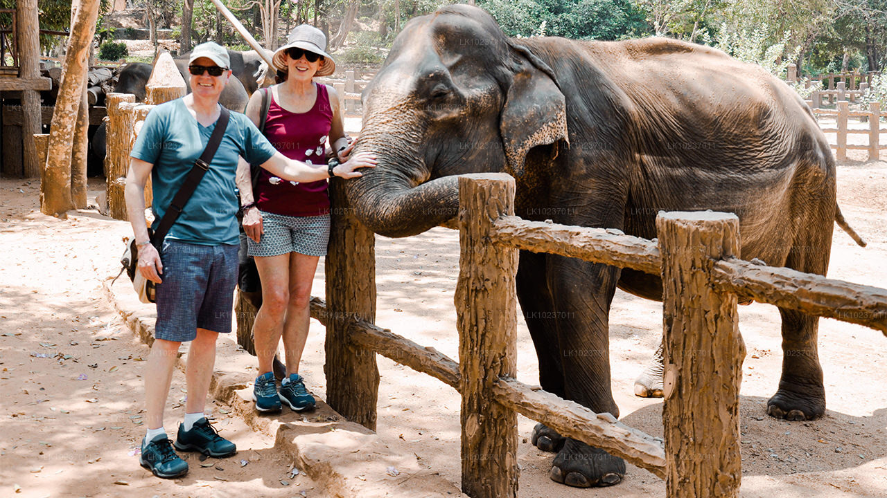 Recorrido cultural por las colinas desde Galle (2 días)