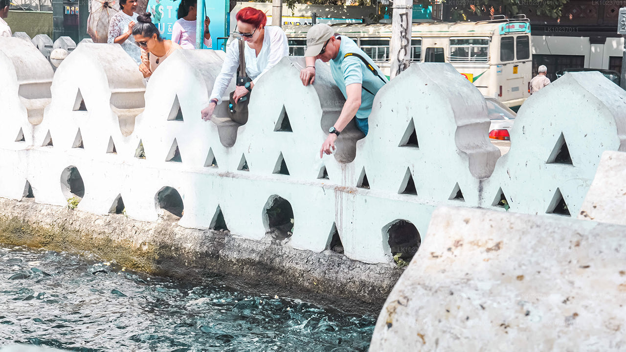 Recorrido cultural por las colinas desde Galle (2 días)