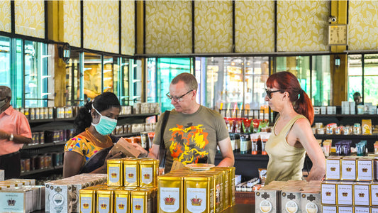 Senderos de montaña brumosos desde Galle (2 días)