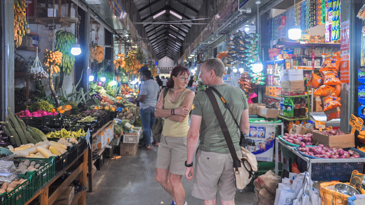 Senderos de montaña brumosos desde Galle (2 días)