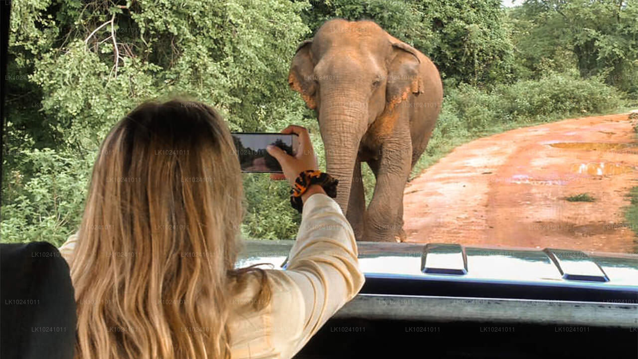 Udawalawe desde Hikkaduwa (2 días)