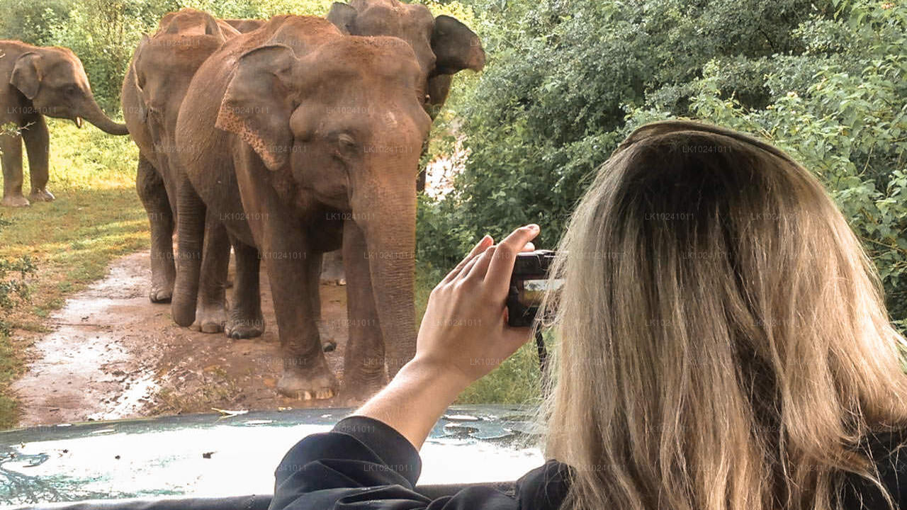 Udawalawe desde Hikkaduwa (2 días)