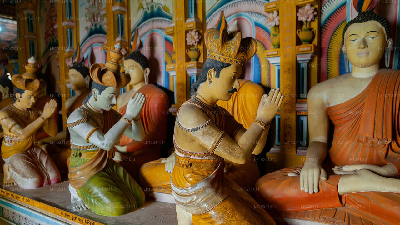 Udawalawe desde Hikkaduwa (2 días)