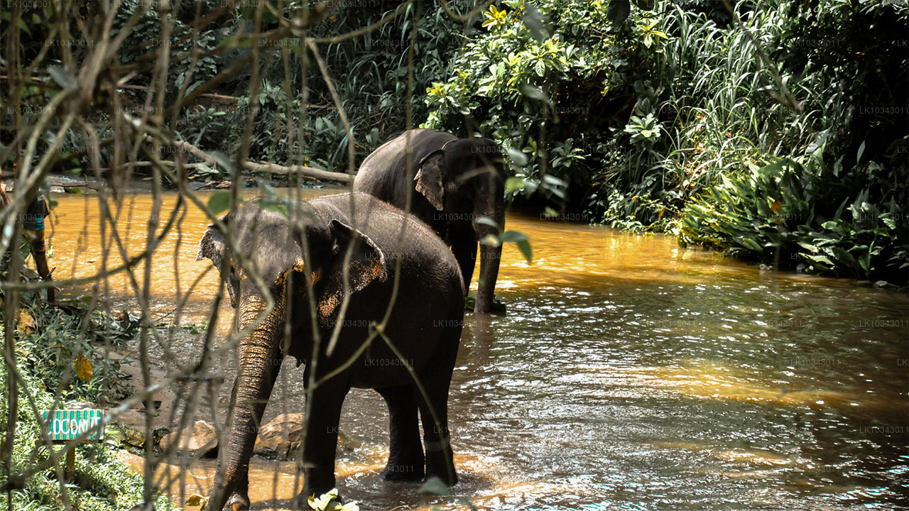 Wonder Island (3 días)