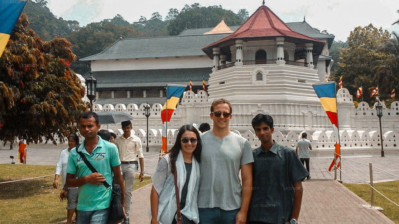 Wonder Island (3 días)