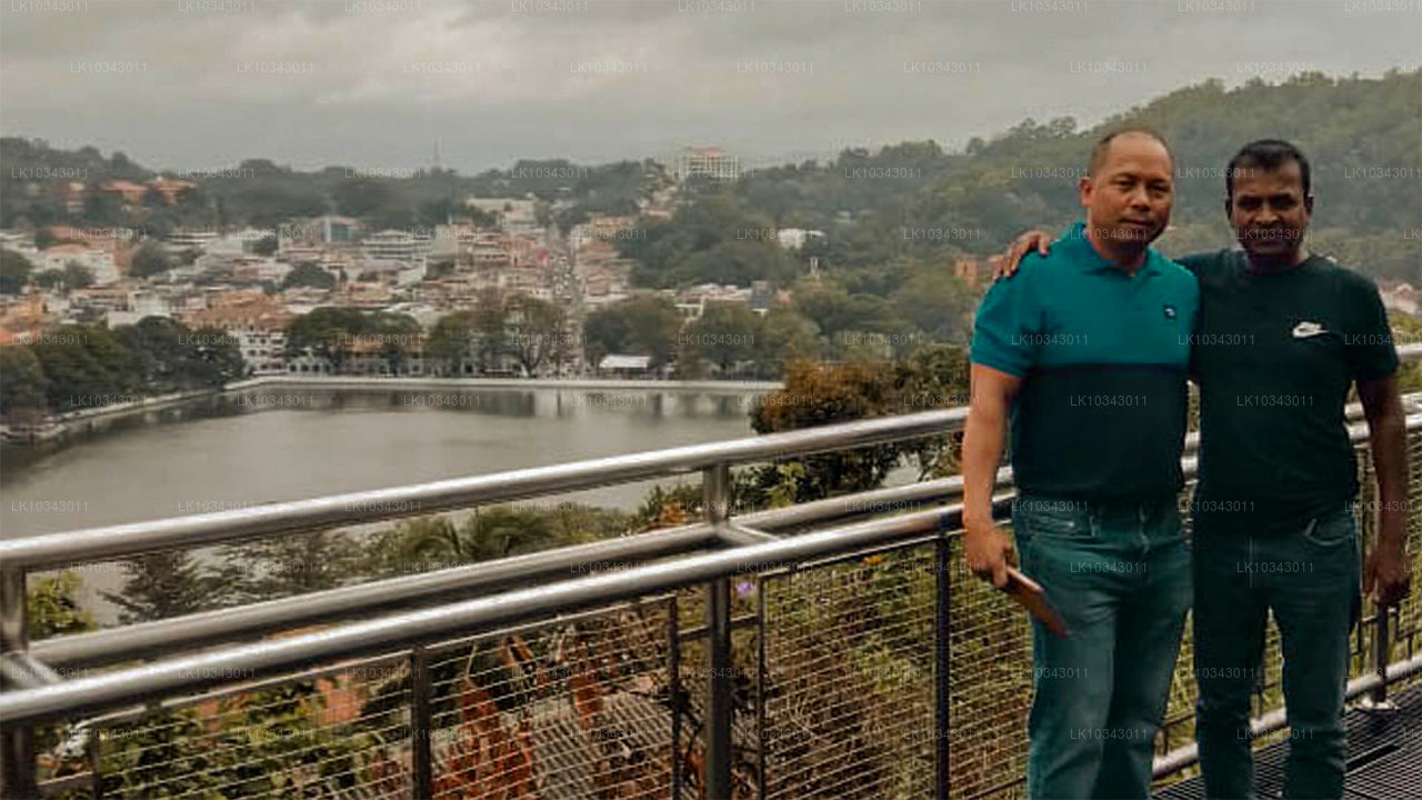 Wonder Island (3 días)